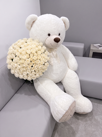 Teddy bear