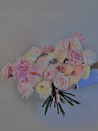 “BLUSH AURORA”