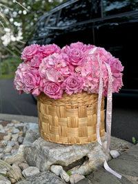 “PINK DUTCH GARDEN”