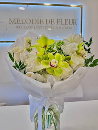 “GREEN ORCHID ELEGANCE”