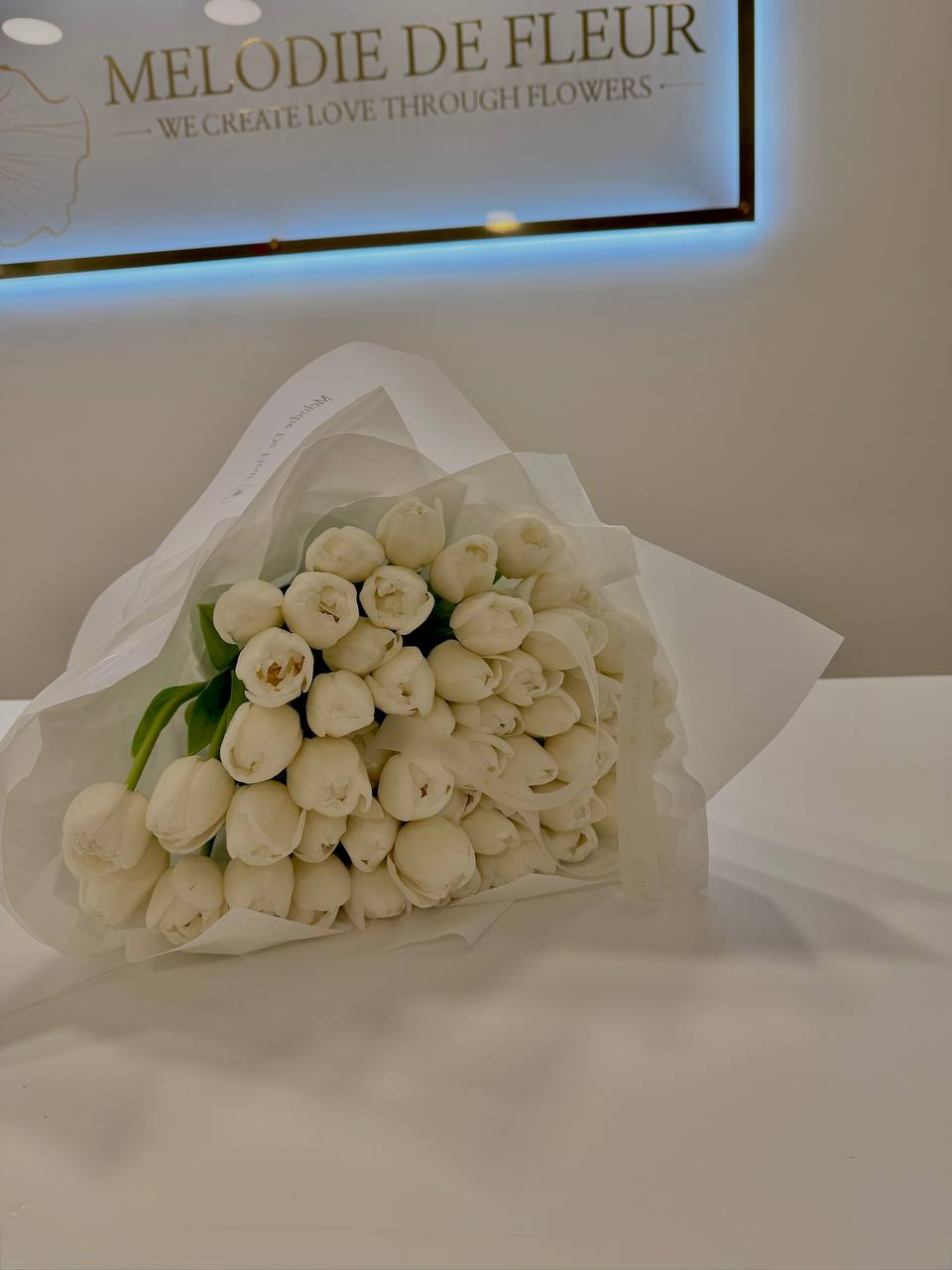 “TULIP ELEGANCE”